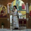 2015metdemetriusjan102